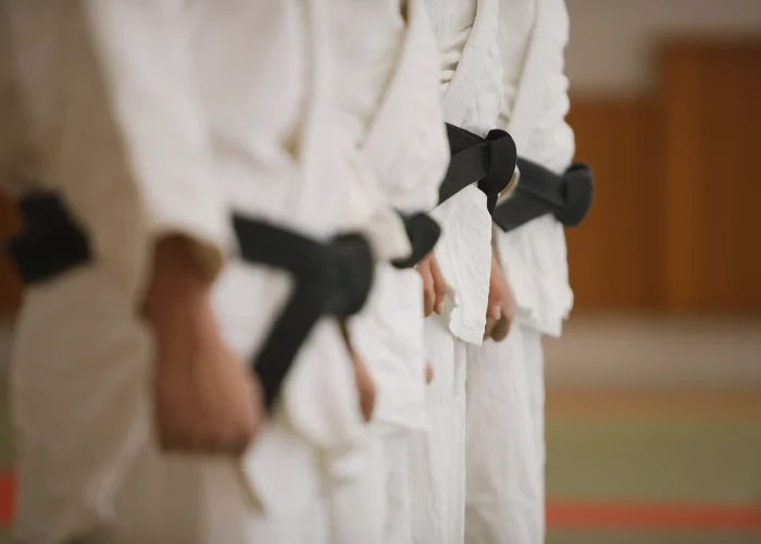 Karate Club